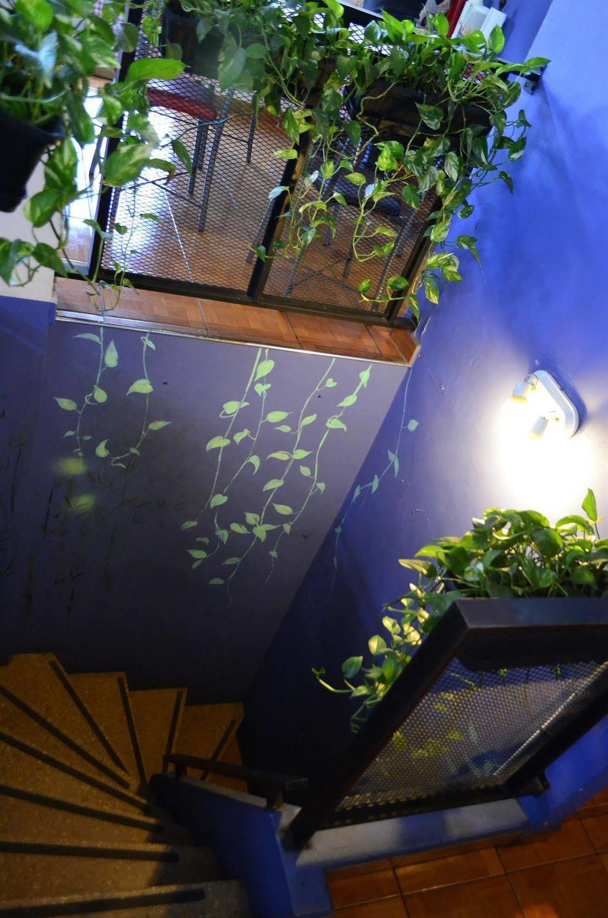 Garden House Hostel Buenos Aires Luaran gambar